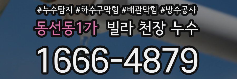 동선동1가 빌라 천장 누수