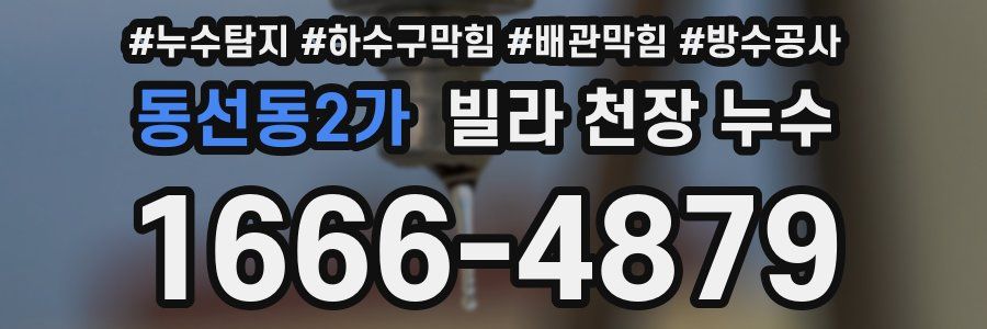 동선동2가 빌라 천장 누수