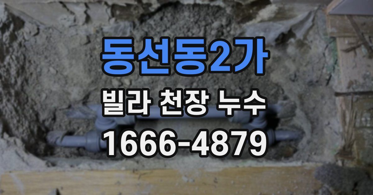 동선동2가 빌라 천장 누수