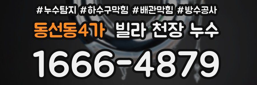 동선동4가 빌라 천장 누수