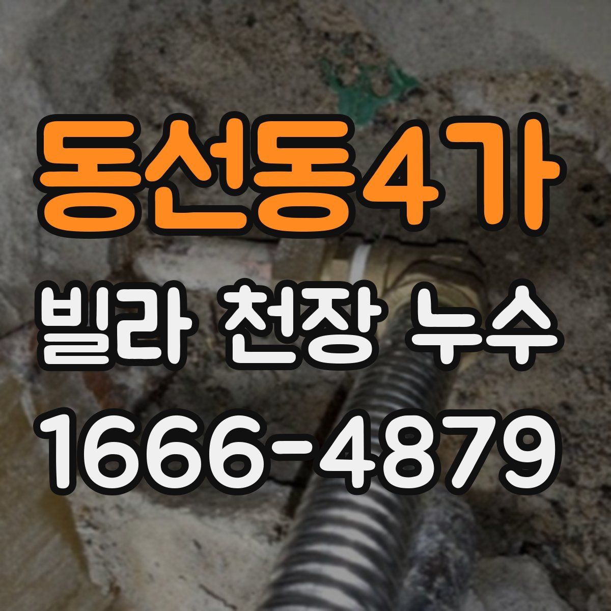 동선동4가 빌라 천장 누수