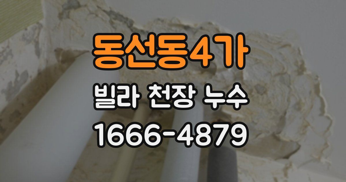 동선동4가 빌라 천장 누수
