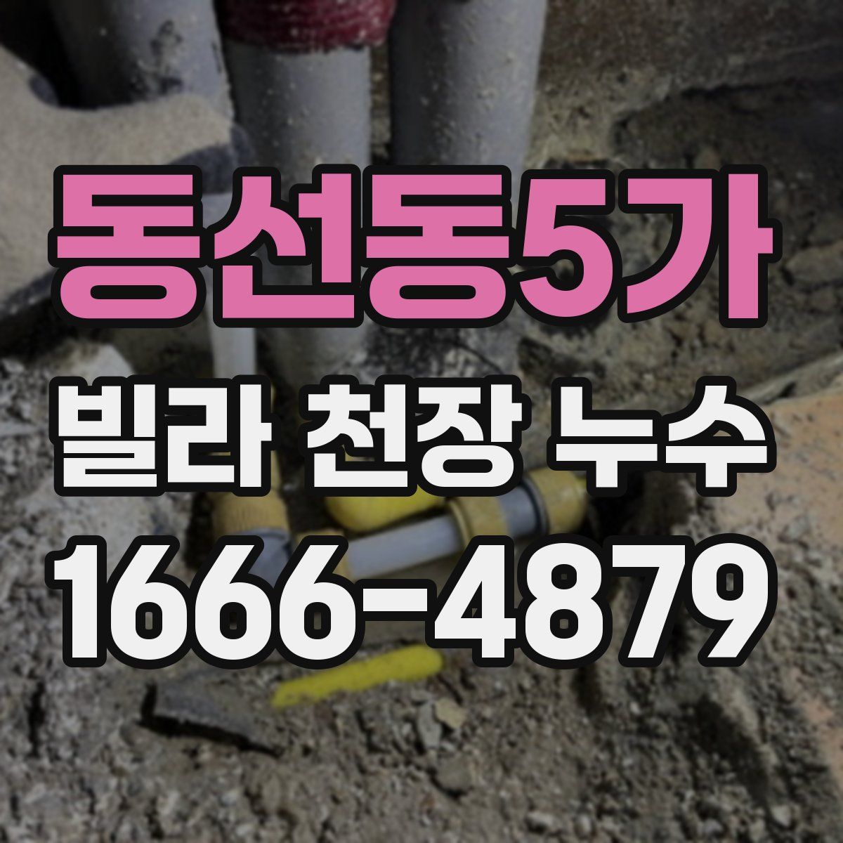 동선동5가 빌라 천장 누수