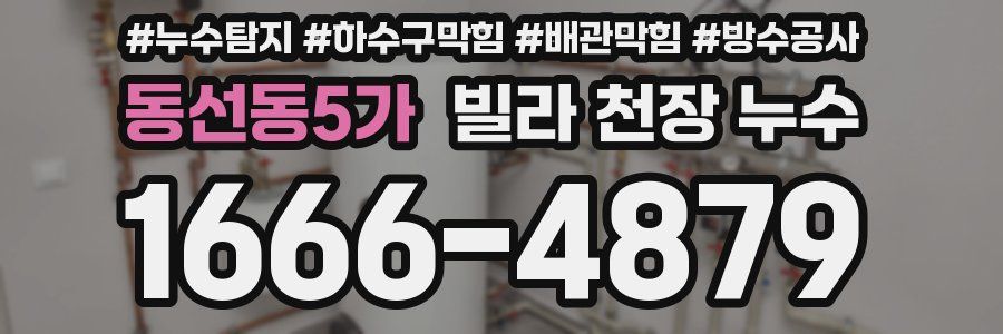 동선동5가 빌라 천장 누수
