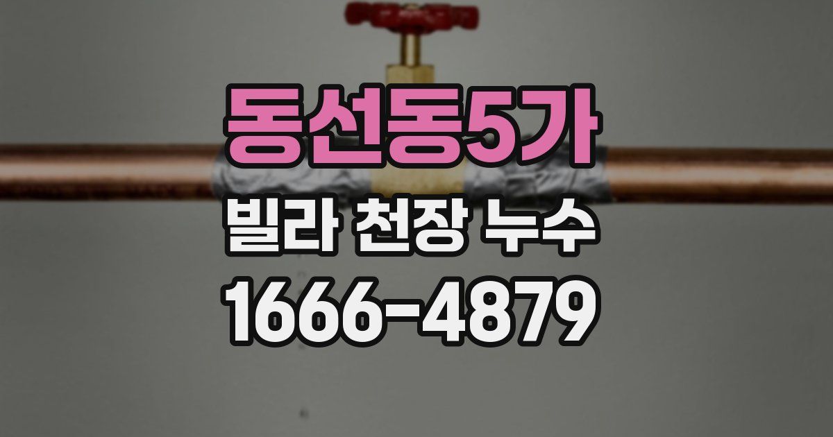 동선동5가 빌라 천장 누수