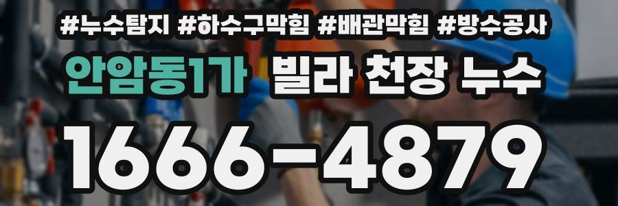 안암동1가 빌라 천장 누수