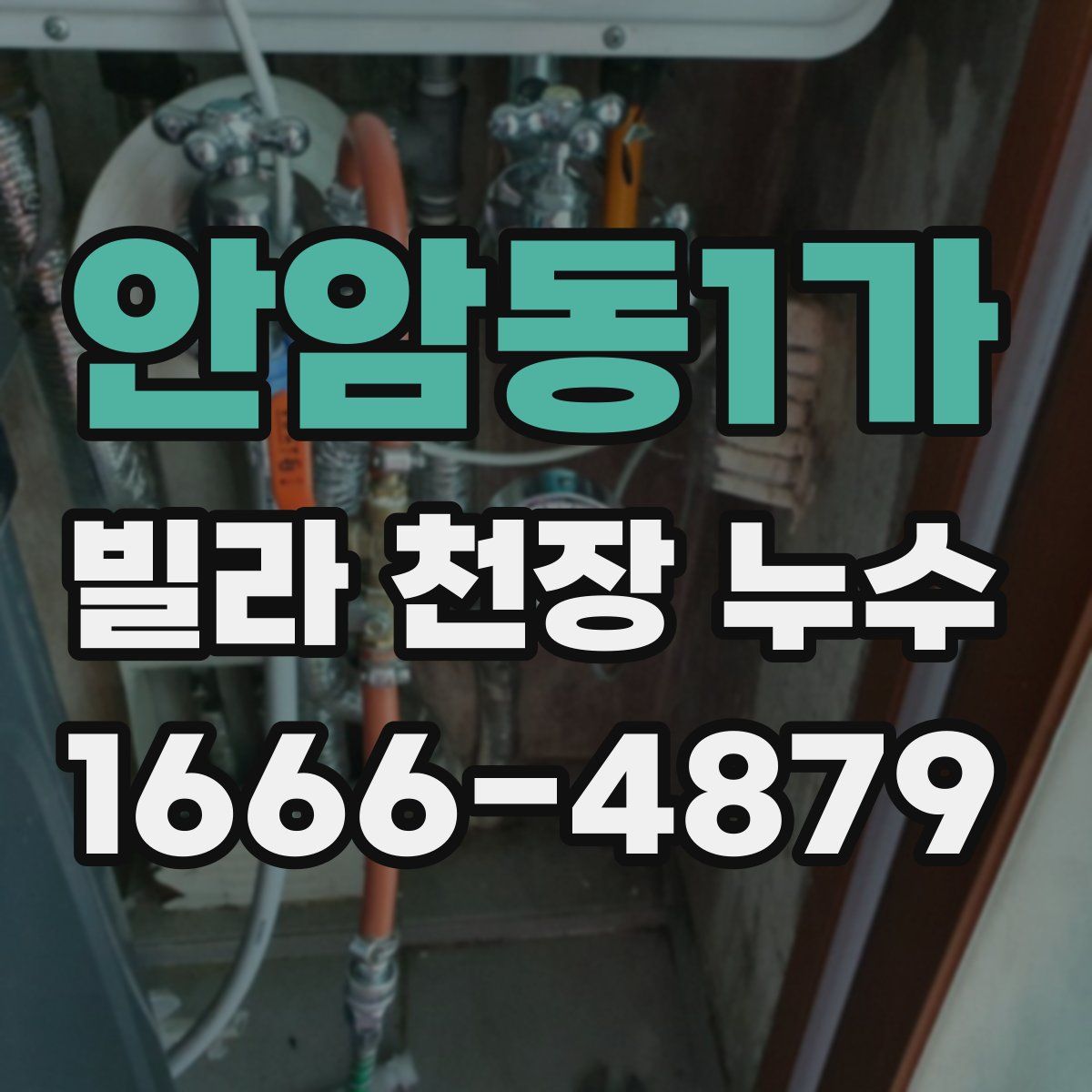 안암동1가 빌라 천장 누수
