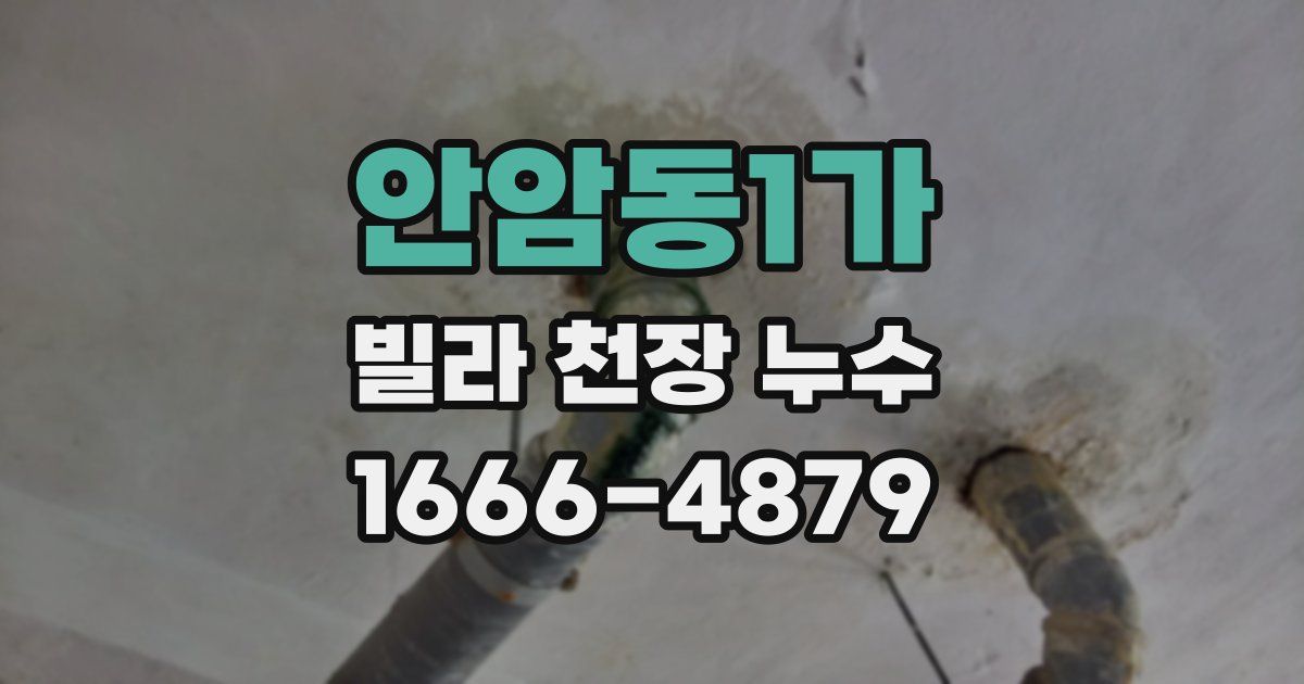 안암동1가 빌라 천장 누수