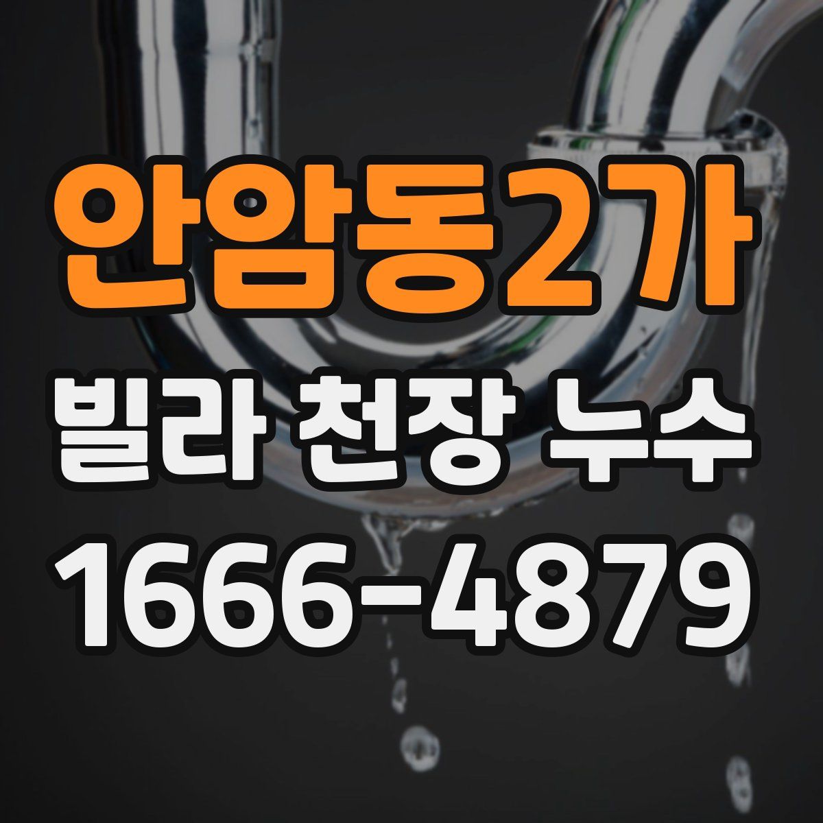 안암동2가 빌라 천장 누수