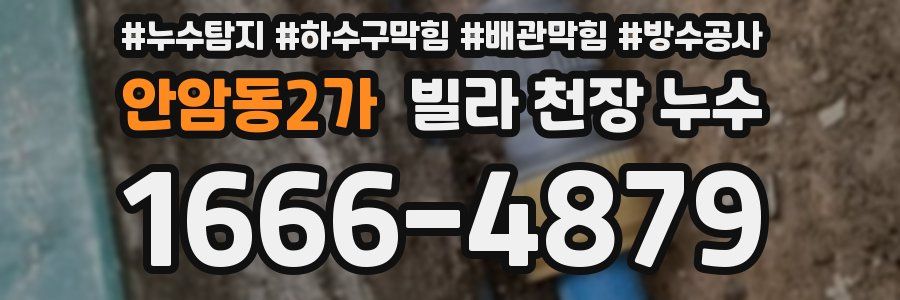 안암동2가 빌라 천장 누수