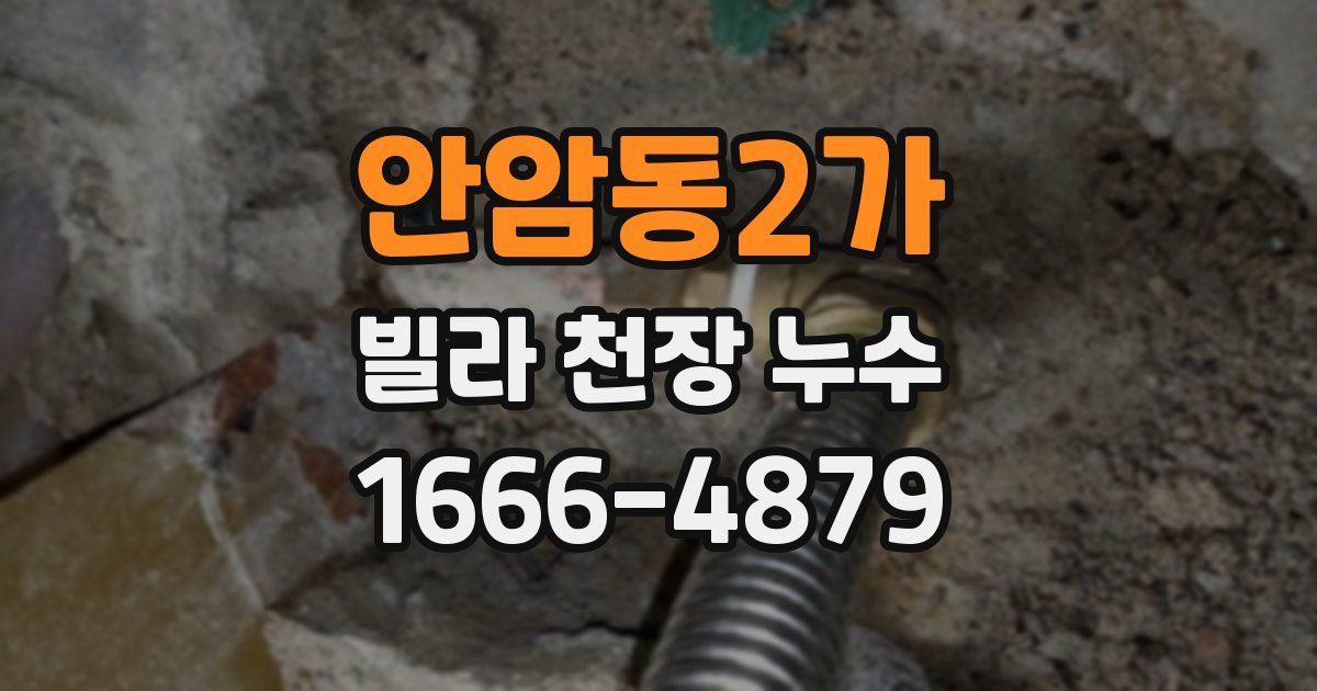안암동2가 빌라 천장 누수