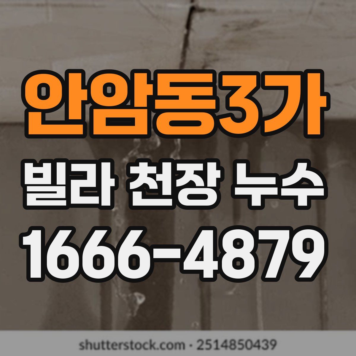 안암동3가 빌라 천장 누수