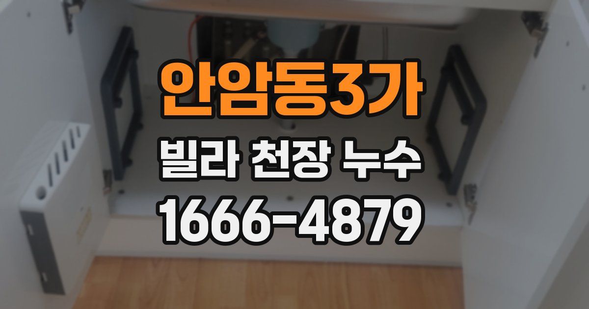 안암동3가 빌라 천장 누수