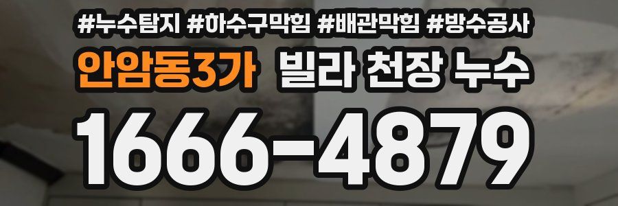 안암동3가 빌라 천장 누수