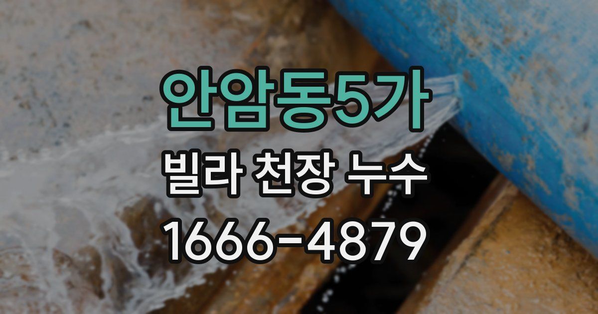 안암동5가 빌라 천장 누수