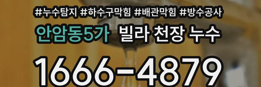 안암동5가 빌라 천장 누수