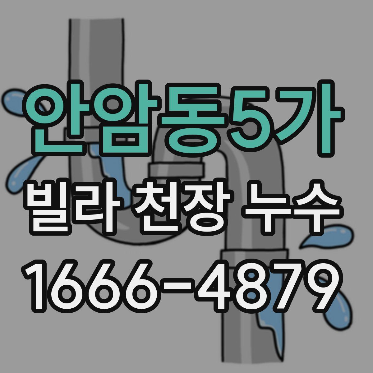 안암동5가 빌라 천장 누수