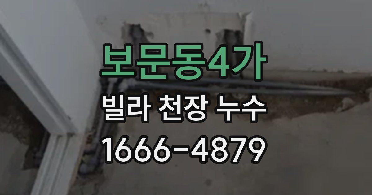보문동4가 빌라 천장 누수