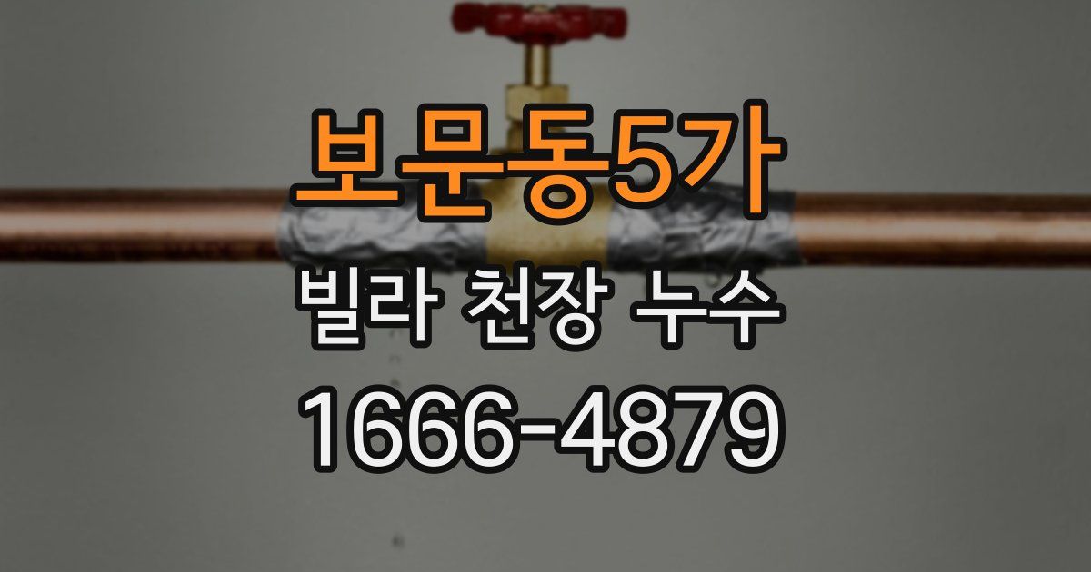 보문동5가 빌라 천장 누수