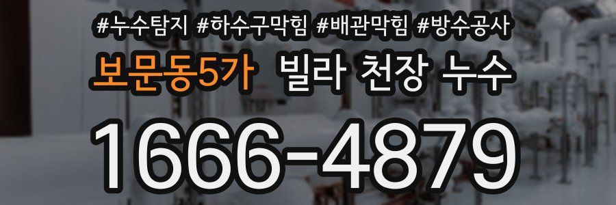 보문동5가 빌라 천장 누수