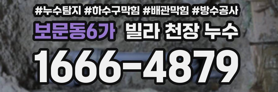보문동6가 빌라 천장 누수