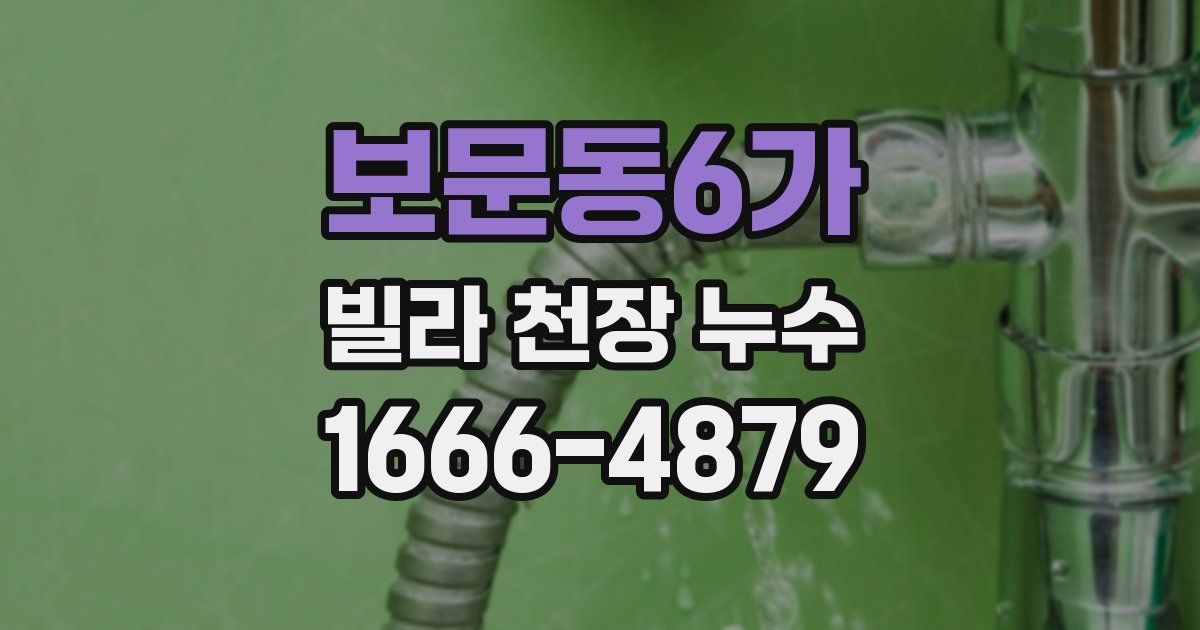 보문동6가 빌라 천장 누수