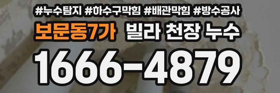 보문동7가 빌라 천장 누수