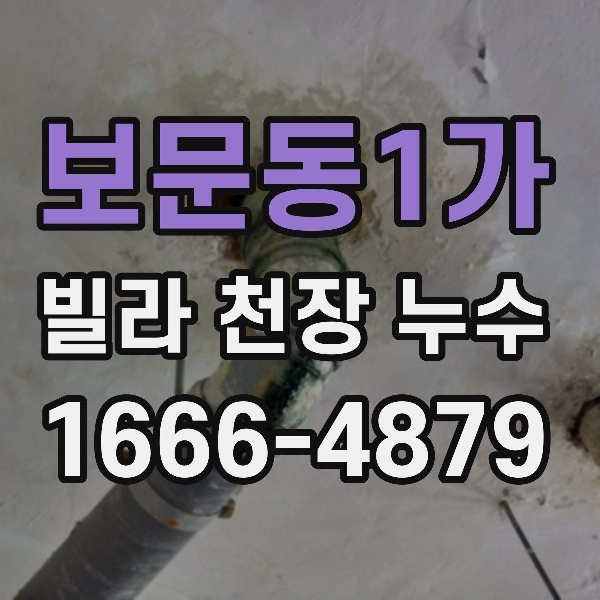 보문동1가 빌라 천장 누수