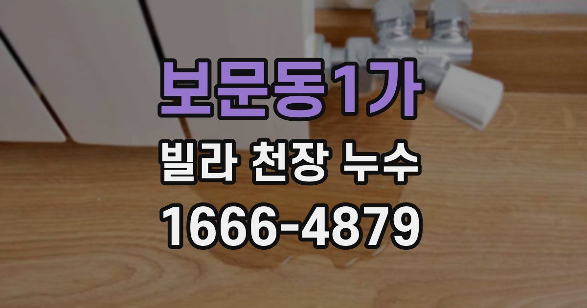 보문동1가 빌라 천장 누수