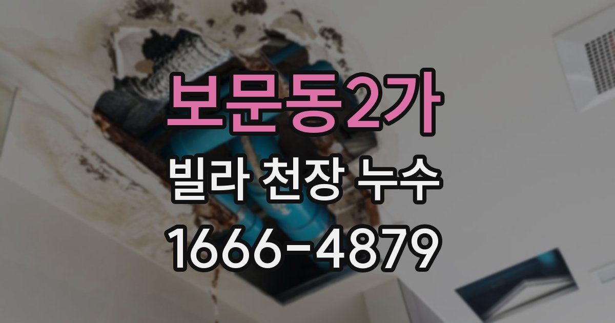 보문동2가 빌라 천장 누수