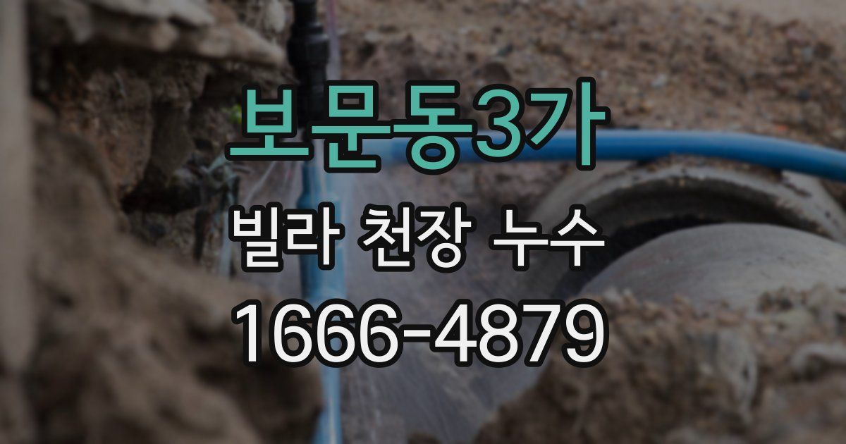보문동3가 빌라 천장 누수