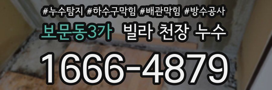 보문동3가 빌라 천장 누수