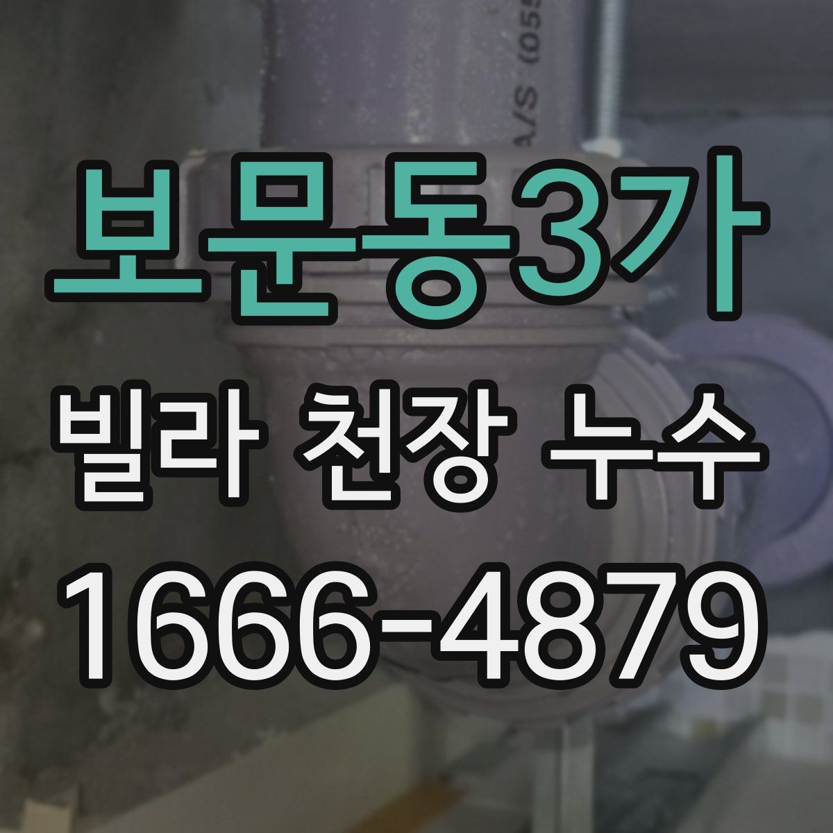보문동3가 빌라 천장 누수