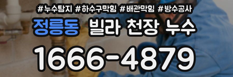 정릉동 빌라 천장 누수