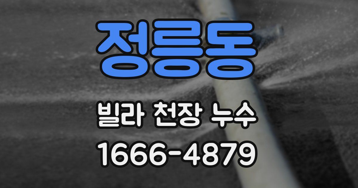 정릉동 빌라 천장 누수