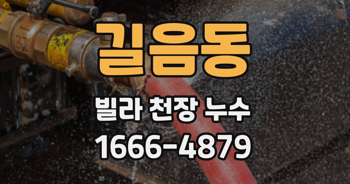 길음동 빌라 천장 누수