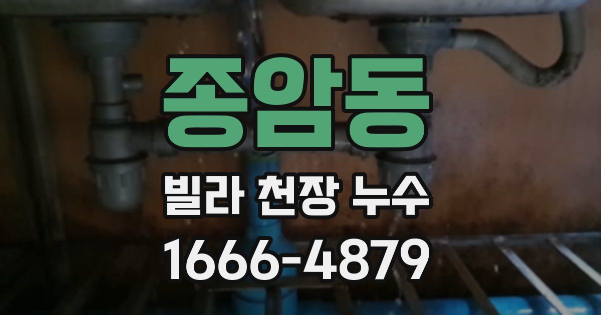종암동 빌라 천장 누수