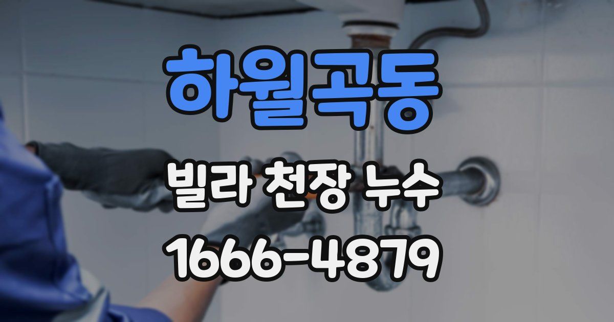 하월곡동 빌라 천장 누수