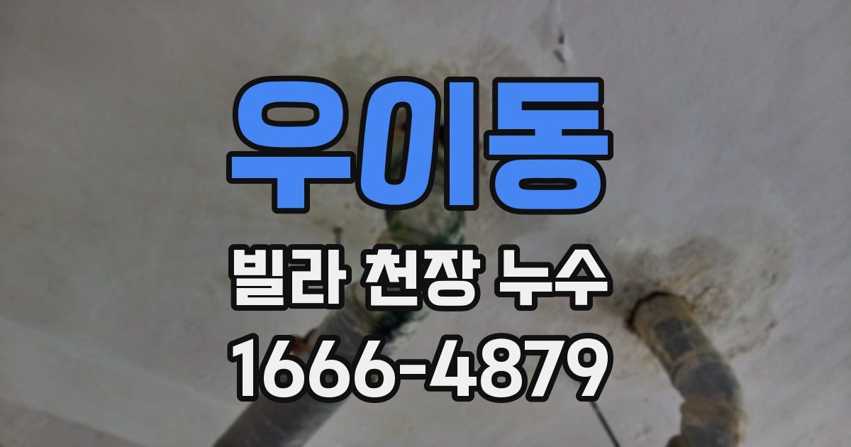 우이동 빌라 천장 누수