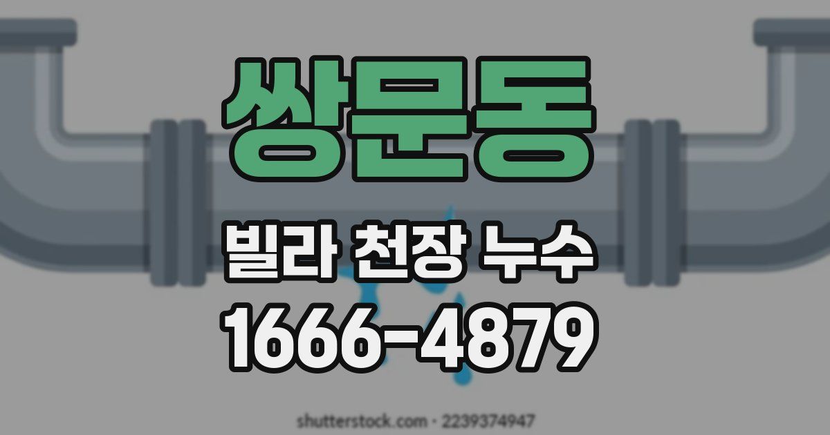 쌍문동 빌라 천장 누수