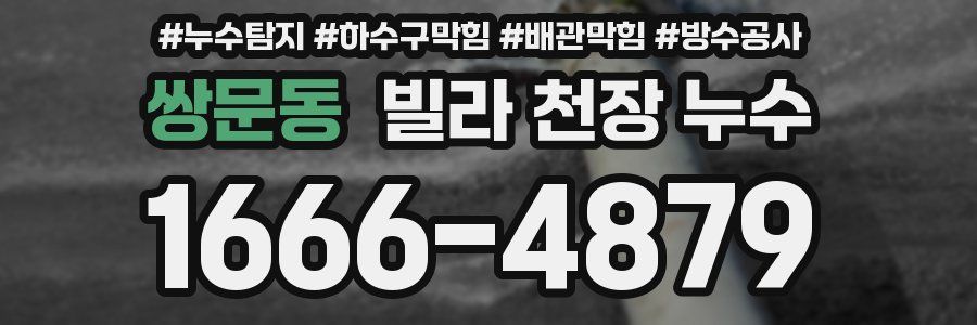 쌍문동 빌라 천장 누수