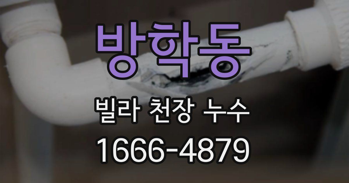 방학동 빌라 천장 누수