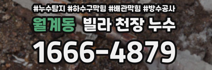 월계동 빌라 천장 누수