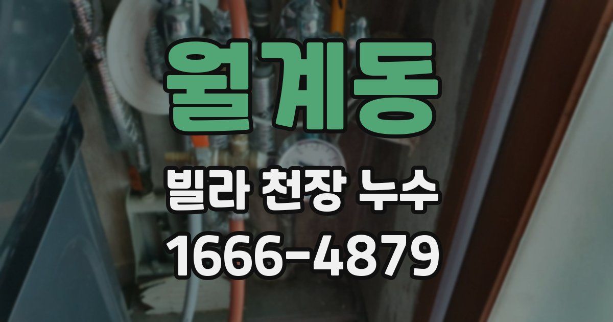 월계동 빌라 천장 누수