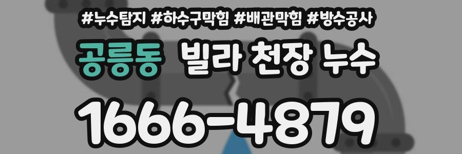공릉동 빌라 천장 누수