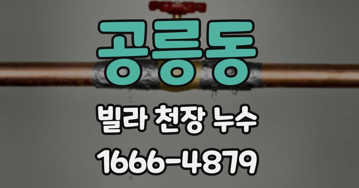 공릉동 빌라 천장 누수
