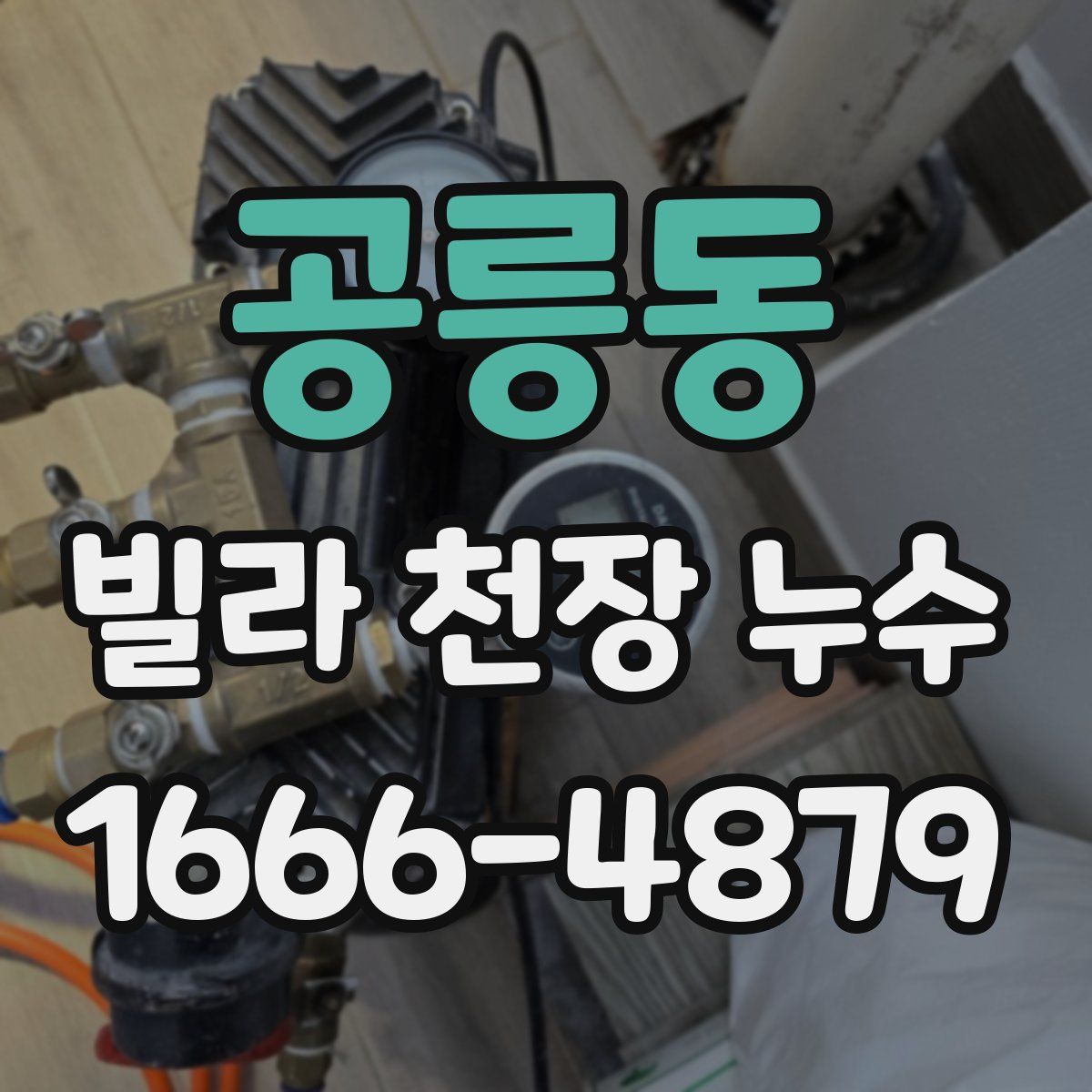 공릉동 빌라 천장 누수