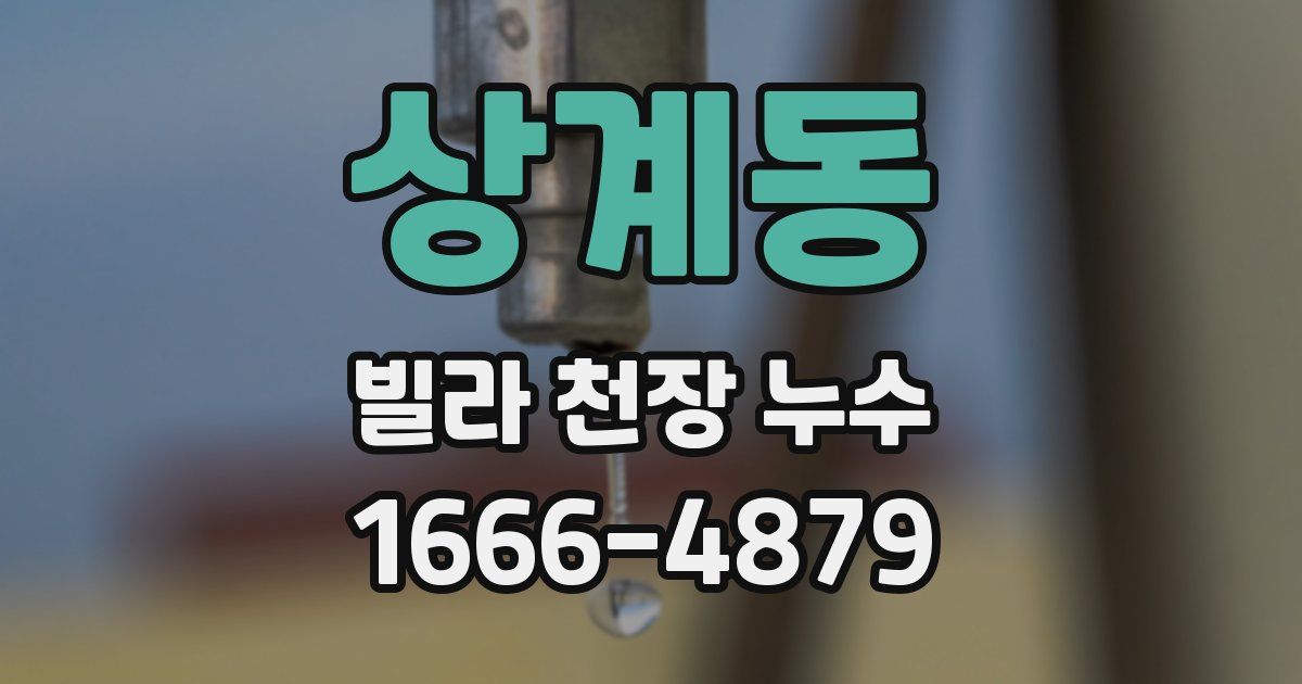상계동 빌라 천장 누수