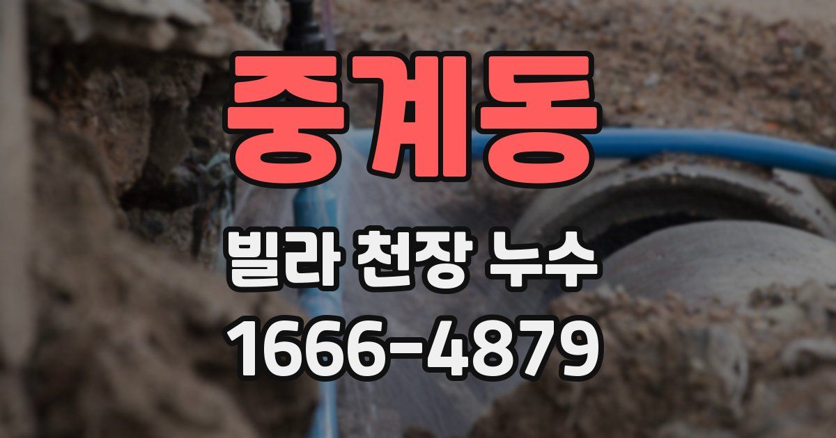 중계동 빌라 천장 누수