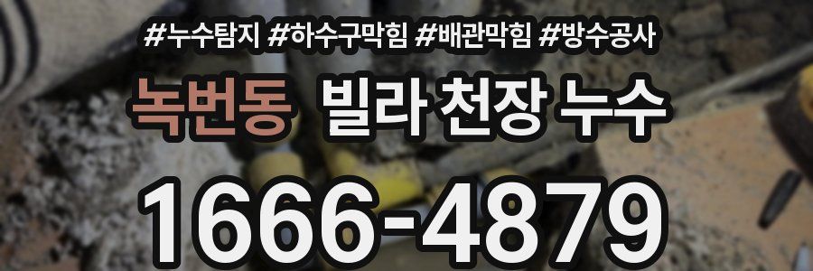 녹번동 빌라 천장 누수